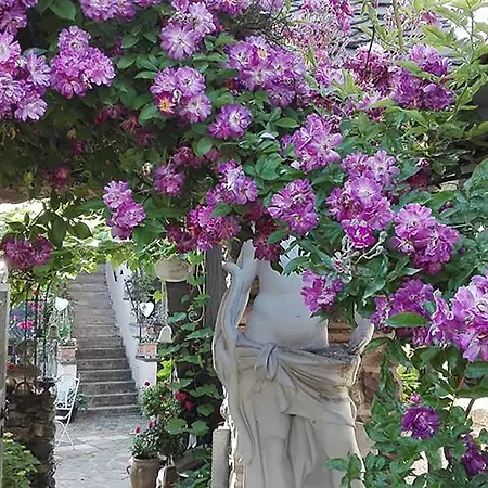 Provence Pensionat 4*