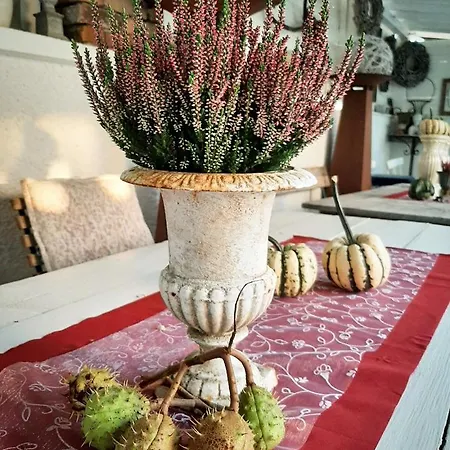 Provence Pensionat 4*