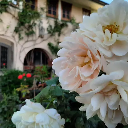 Provence Kobern-Gondorf