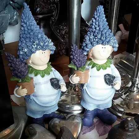 Pensionat Provence 4*