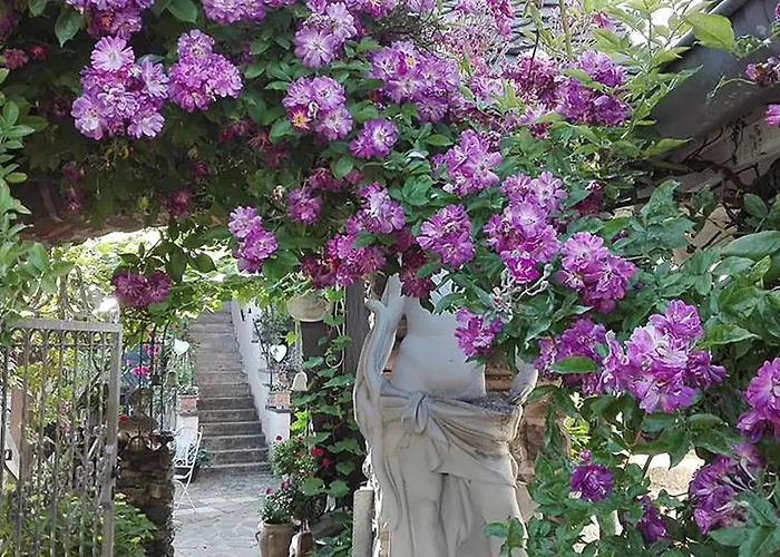 Provence 게스트하우스 4*