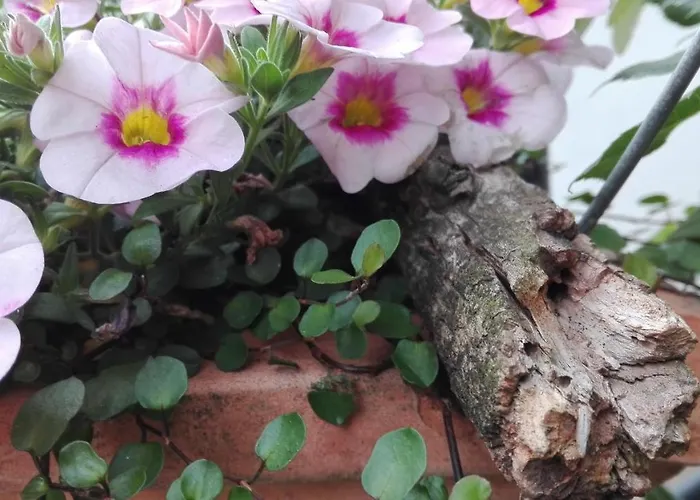 Provence 게스트하우스 4*