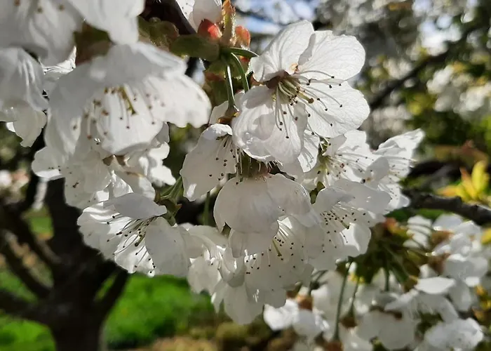 게스트하우스 Provence 코베른곤도르프