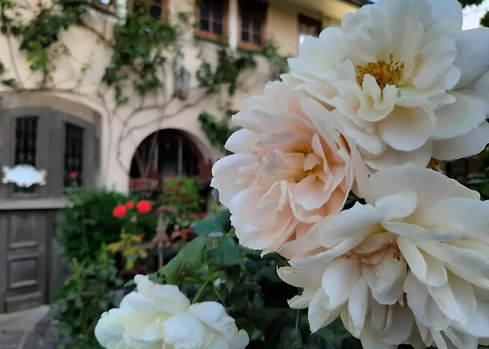 Provence 코베른곤도르프