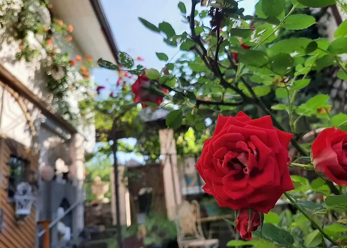 게스트하우스 Provence 코베른곤도르프