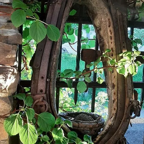 Provence 게스트하우스