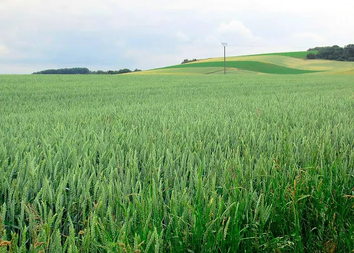 게스트하우스 Provence