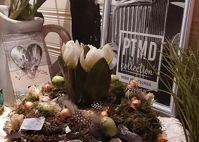 Provence 코베른곤도르프